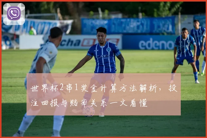 世界杯2串1奖金计算方法解析，投注回报与赔率关系一文看懂