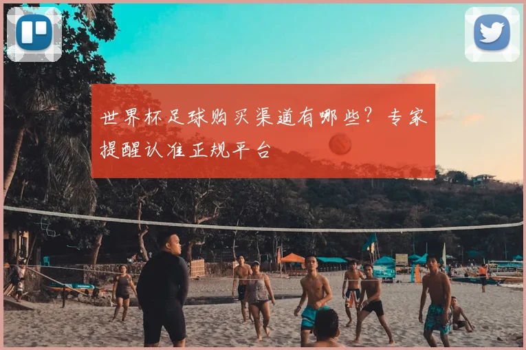 世界杯足球购买渠道有哪些?专家提醒认准正规平台