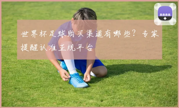 世界杯足球购买渠道有哪些?专家提醒认准正规平台