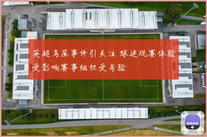 英超鸟屎事件引关注 球迷观赛体验受影响赛事组织受考验