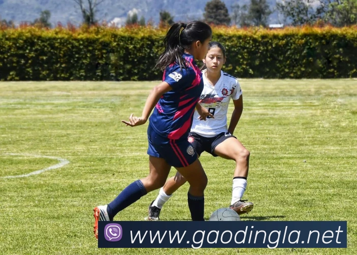 辅助工具 辅助工具